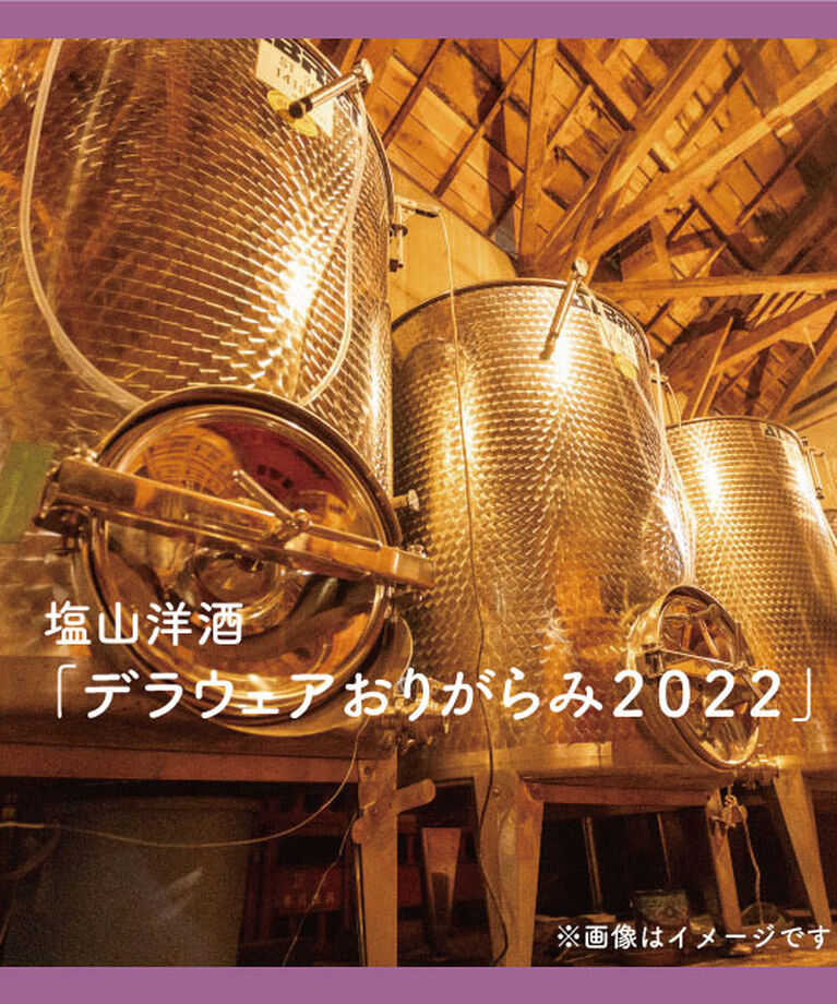 LUMINE AGRI SHOP「塩山洋酒「デラウェアおりがらみ２０２２」」|ワイン|その他
