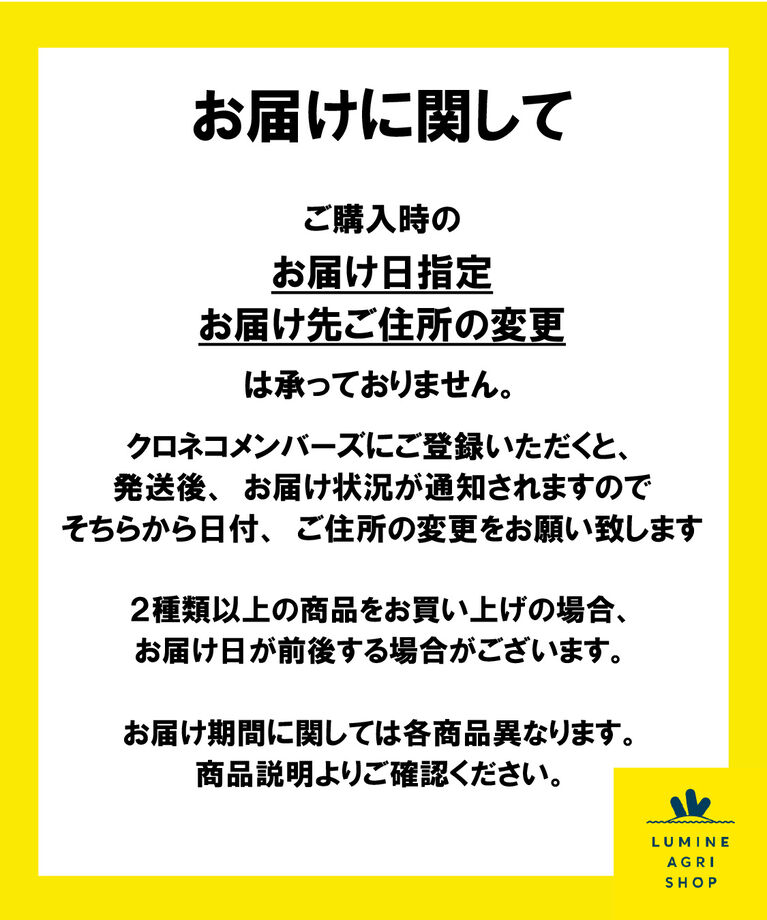 LUMINE AGRI SHOP「塩山洋酒「デラウェアおりがらみ２０２２」」|ワイン|