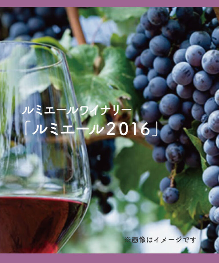 LUMINE AGRI SHOP「ルミエールワイナリー「ルミエール２０１６」」|ワイン|その他