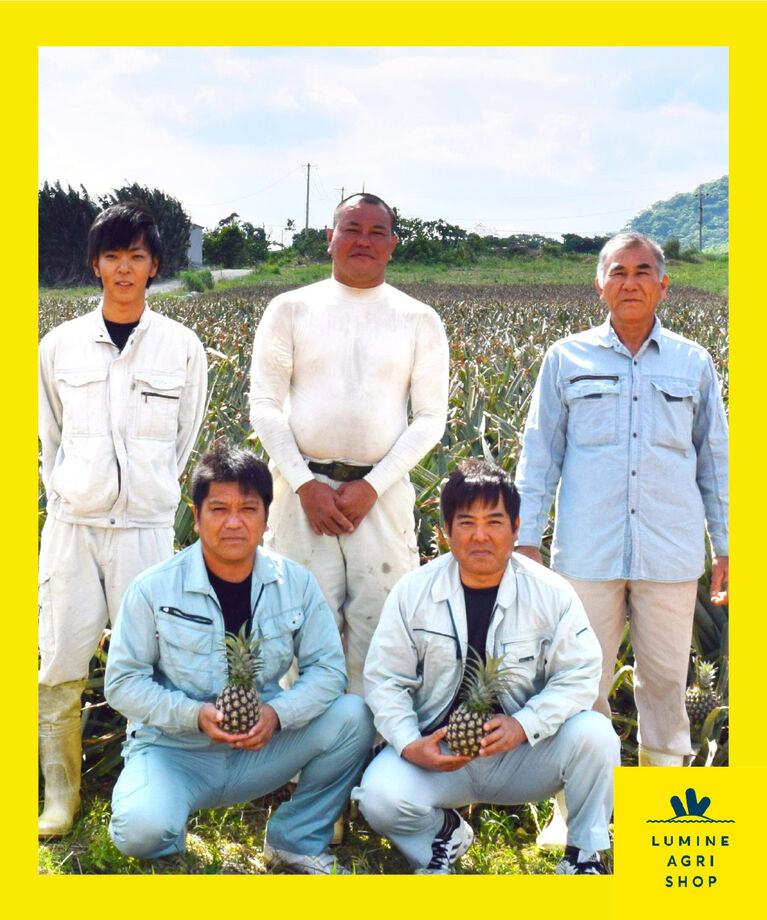LUMINE AGRI SHOP「【L-FARMERS】手でちぎれる！石垣島パイン」|果物・野菜|