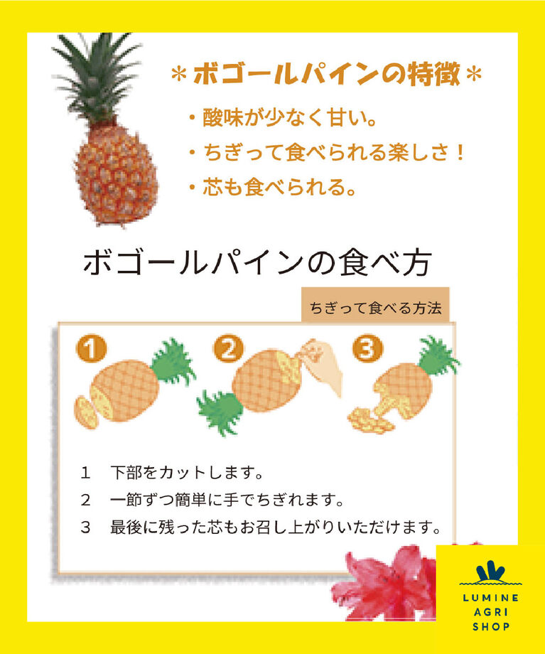 LUMINE AGRI SHOP「【L-FARMERS】手でちぎれる！石垣島パイン」|果物・野菜|