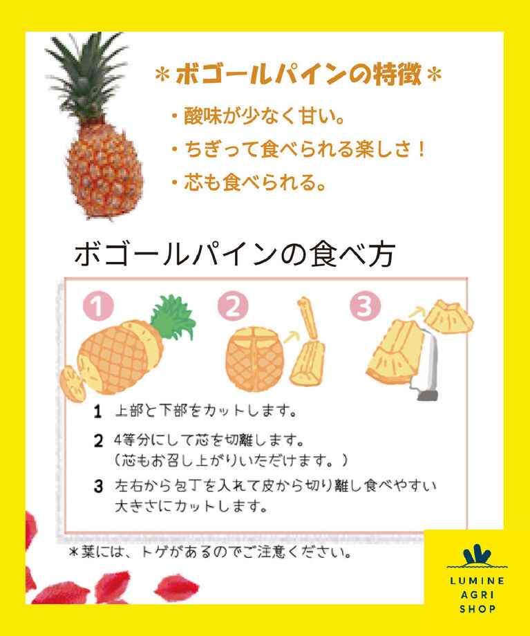 LUMINE AGRI SHOP「【L-FARMERS】手でちぎれる！石垣島パイン」|果物・野菜|