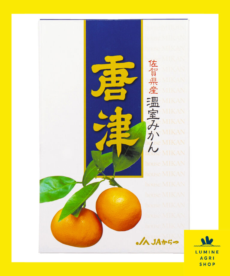 LUMINE AGRI SHOP「【夏にみかんは稀少】佐賀県産唐津みかん1㎏」|果物・野菜|