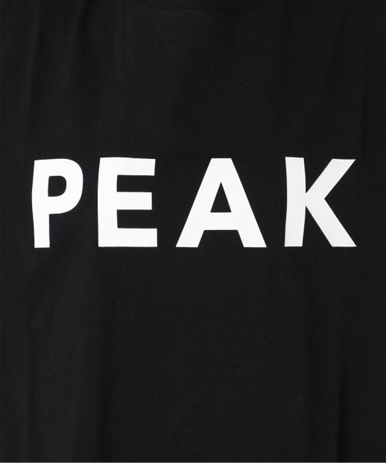 JOURNAL STANDARD relume「《追加》別注【Snow Peak/スノーピーク】Tシャツワンピース」|ワンピース|