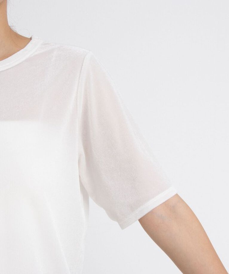 NOLLEY'S「シアーベロアTシャツ」|Tシャツ・カットソー|