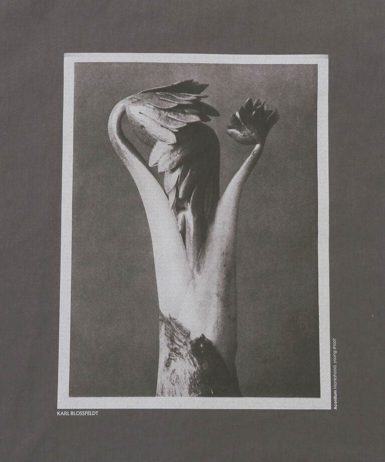 SALON adam et rope'「【KARL BLOSSFELD】フォトプリントトートバッグ」|トートバッグ|