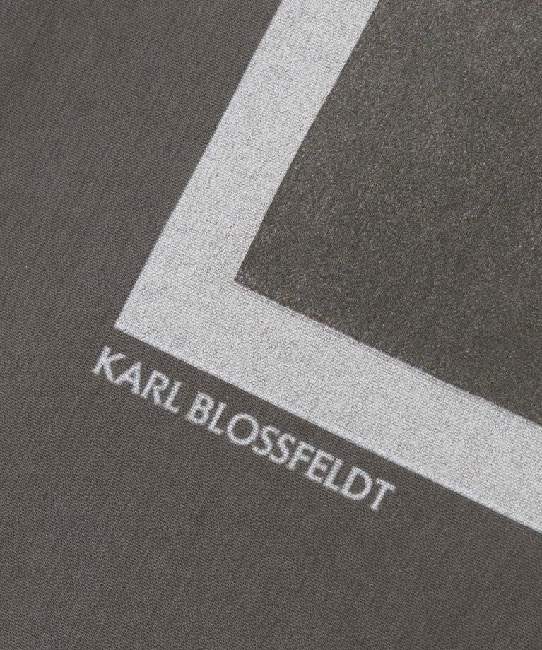 SALON adam et rope'「【KARL BLOSSFELD】フォトプリントトートバッグ」|トートバッグ|