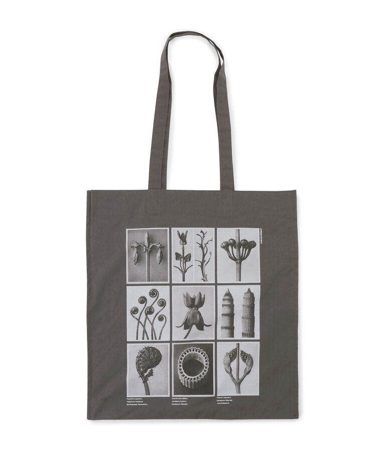 SALON adam et rope'「【KARL BLOSSFELD】フォトプリントトートバッグ」|トートバッグ|
