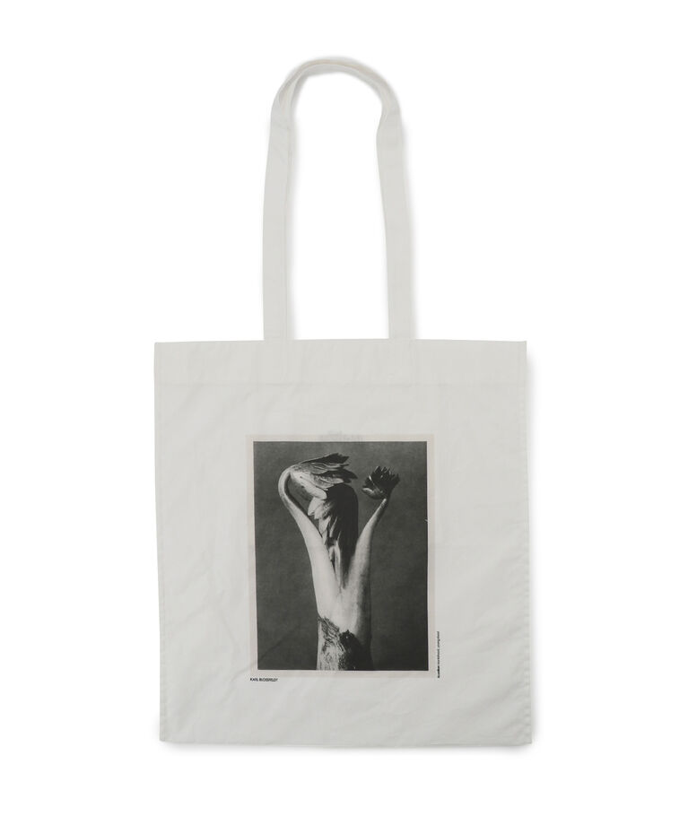 SALON adam et rope'「【KARL BLOSSFELD】フォトプリントトートバッグ」|トートバッグ|