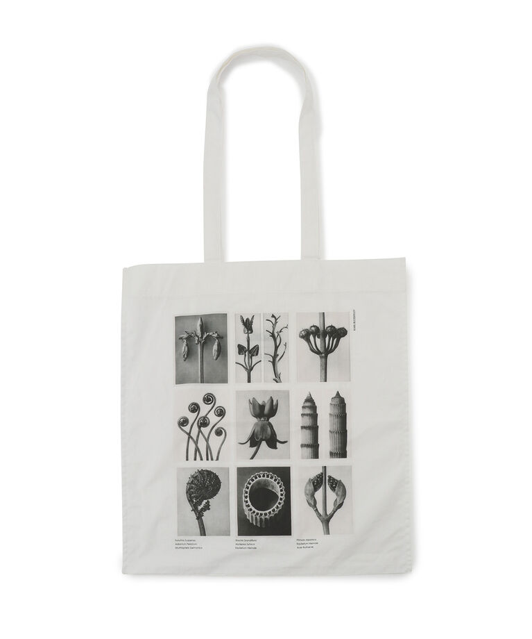 SALON adam et rope'「【KARL BLOSSFELD】フォトプリントトートバッグ」|トートバッグ|