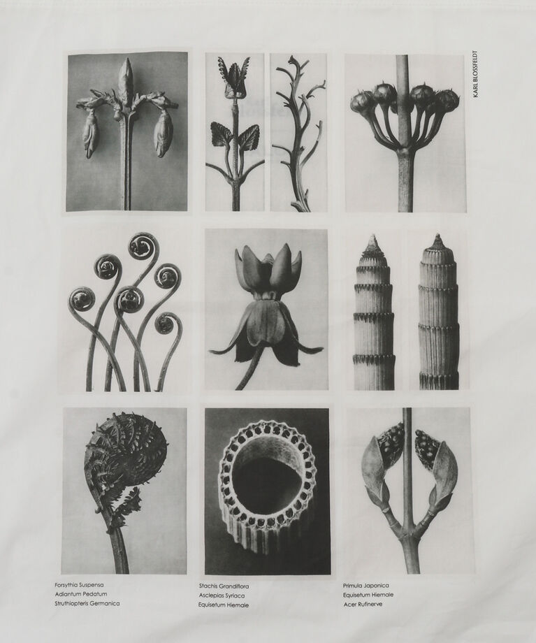 SALON adam et rope'「【KARL BLOSSFELD】フォトプリントトートバッグ」|トートバッグ|