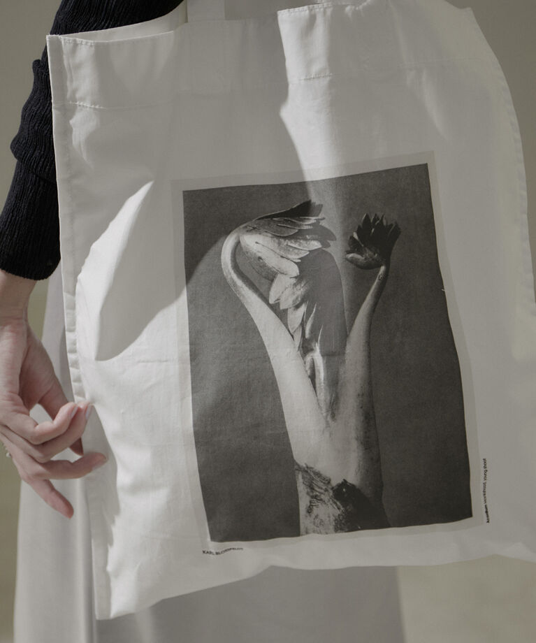 SALON adam et rope'「【KARL BLOSSFELD】フォトプリントトートバッグ」|トートバッグ|