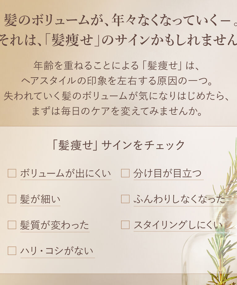 L’OCCITANE「ボリューム＆ストレングス シャンプー500ML」|シャンプー|