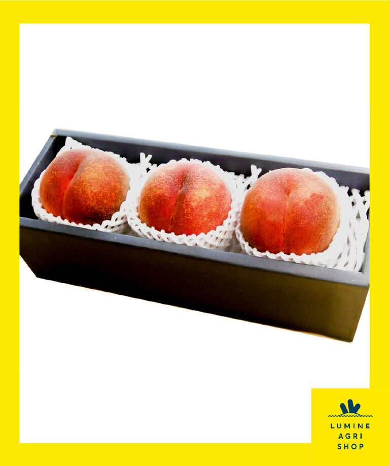 LUMINE AGRI SHOP「【夏のご褒美果実】山梨白桃特大3玉」|果物・野菜|その他