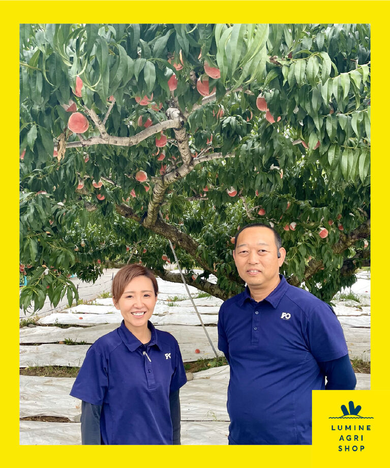 LUMINE AGRI SHOP「【夏のご褒美果実】山梨白桃特大3玉」|果物・野菜|