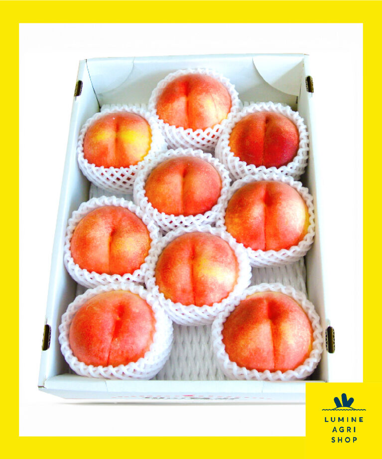 LUMINE AGRI SHOP「【甘い香りが魅力】山梨白桃3㎏」|果物・野菜|その他