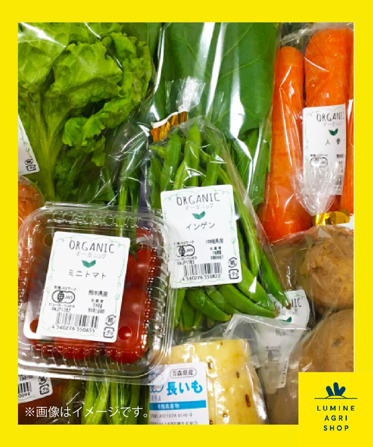 LUMINE AGRI SHOP「<随時受付>有機野菜セット」|果物・野菜|その他