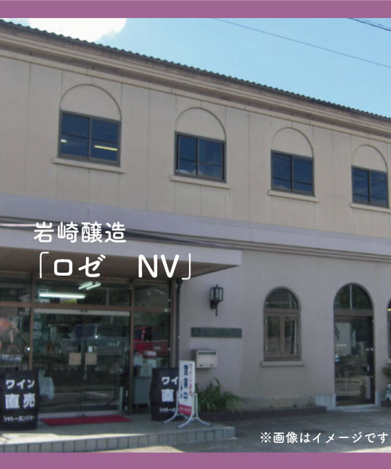 LUMINE AGRI SHOP「岩崎醸造「ロゼ　NV」」|ワイン|その他