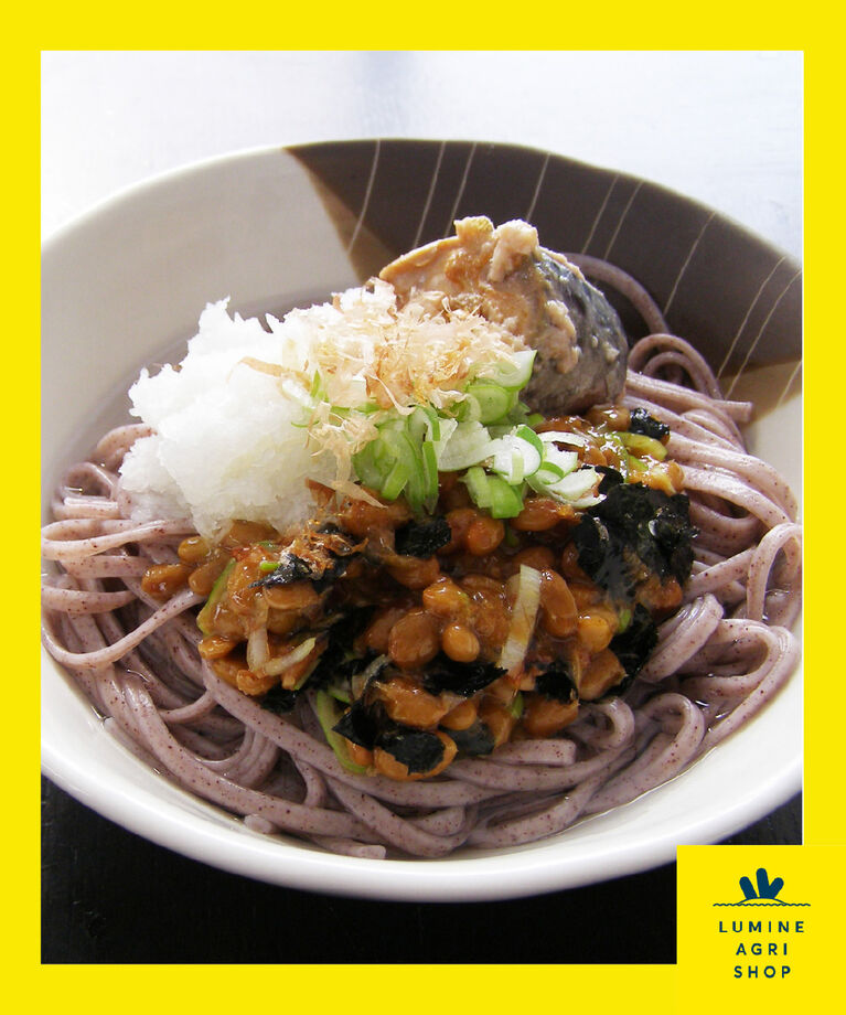 LUMINE AGRI SHOP「月山そば・うどん・パスタセット」|麺類|