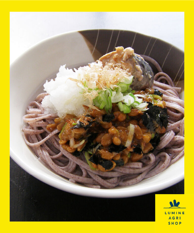 LUMINE AGRI SHOP「月山黒米うどん　18袋」|麺類|