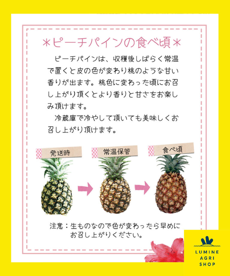 LUMINE AGRI SHOP「【L-FARMERS】石垣島ピーチパイン1.5kg」|果物・野菜|