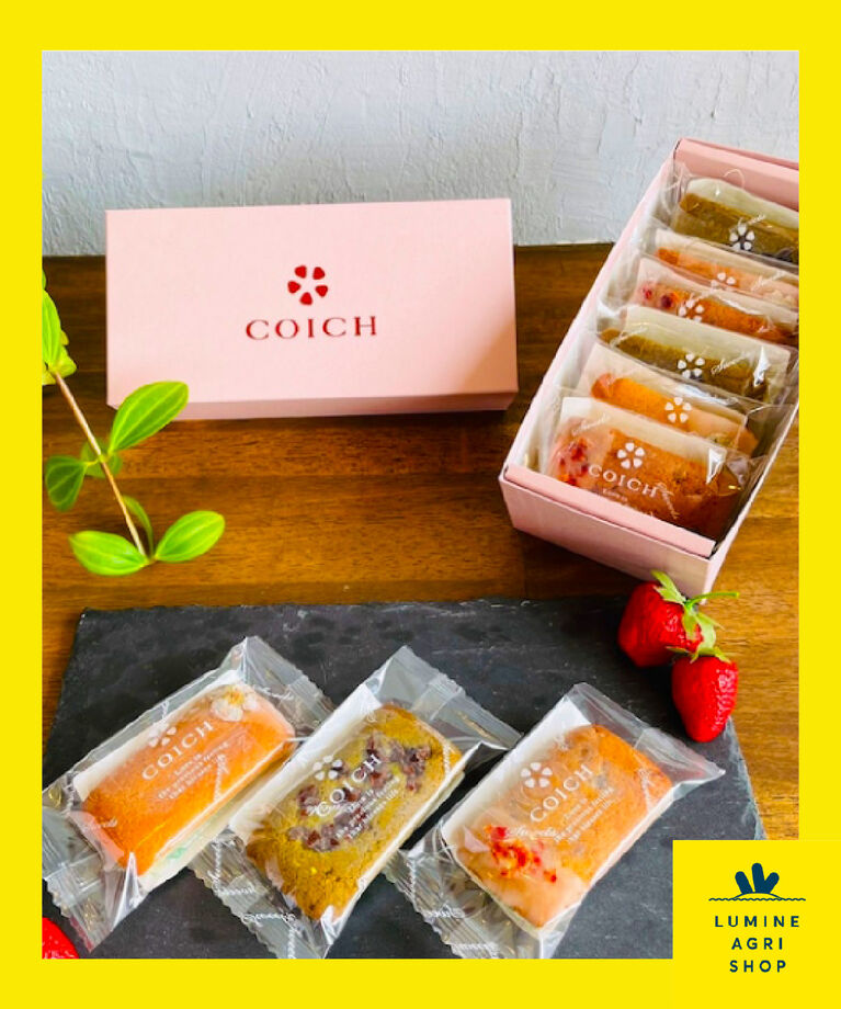 LUMINE AGRI SHOP「<随時受付>COICHIフィナンシェ6個入」|和洋菓子・アイス|その他