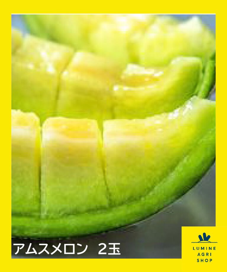 LUMINE AGRI SHOP「【糖度16度以上】旨さ金印の銚子産 アムスメロン2玉」|果物・野菜|その他