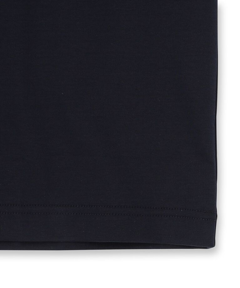 DRESSTERIOR「【干場義雅×DRESSTERIOR】ICE CLEAR COTTON レイヤードT」|Tシャツ・カットソー|