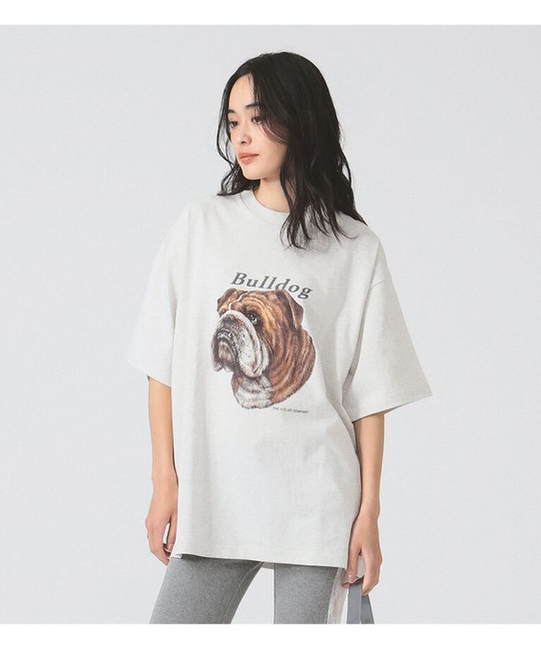Ray BEAMS 「Lee / BULLDOG PRINT S/S TEE」|Tシャツ・カットソー|