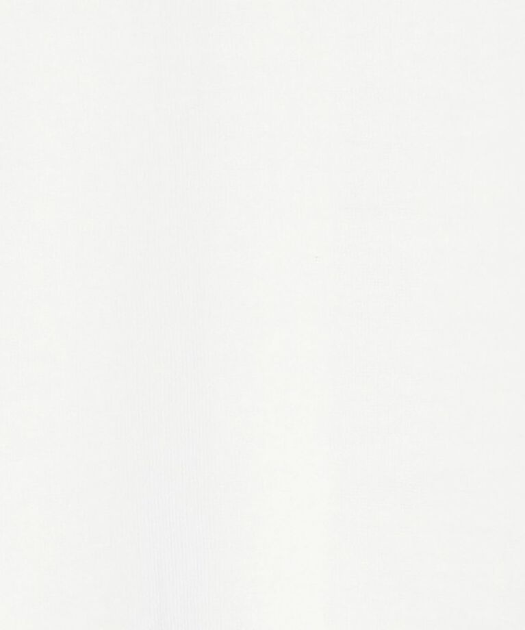 NOLLEY'S「MY STANDARD シアーロンT」|Tシャツ・カットソー|
