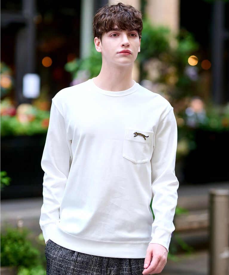 DRESSTERIOR「ハイカウント フライスロングTシャツ」|Tシャツ・カットソー|ホワイト(001)