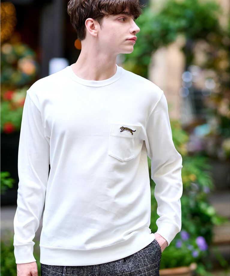 DRESSTERIOR「ハイカウント フライスロングTシャツ」|Tシャツ・カットソー|