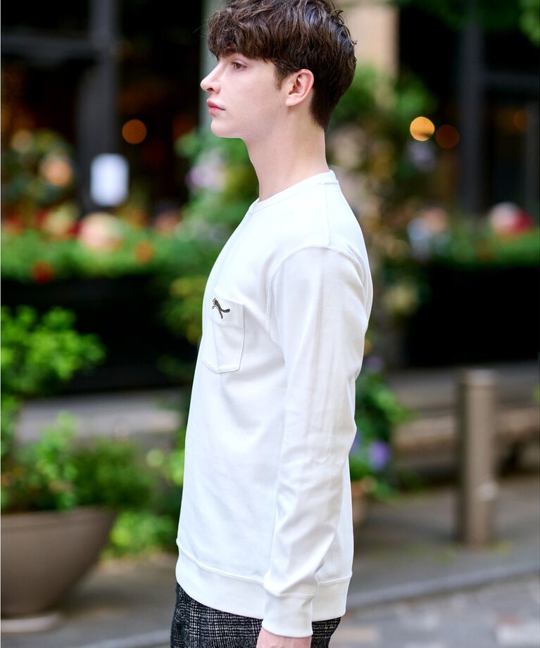 DRESSTERIOR「ハイカウント フライスロングTシャツ」|Tシャツ・カットソー|