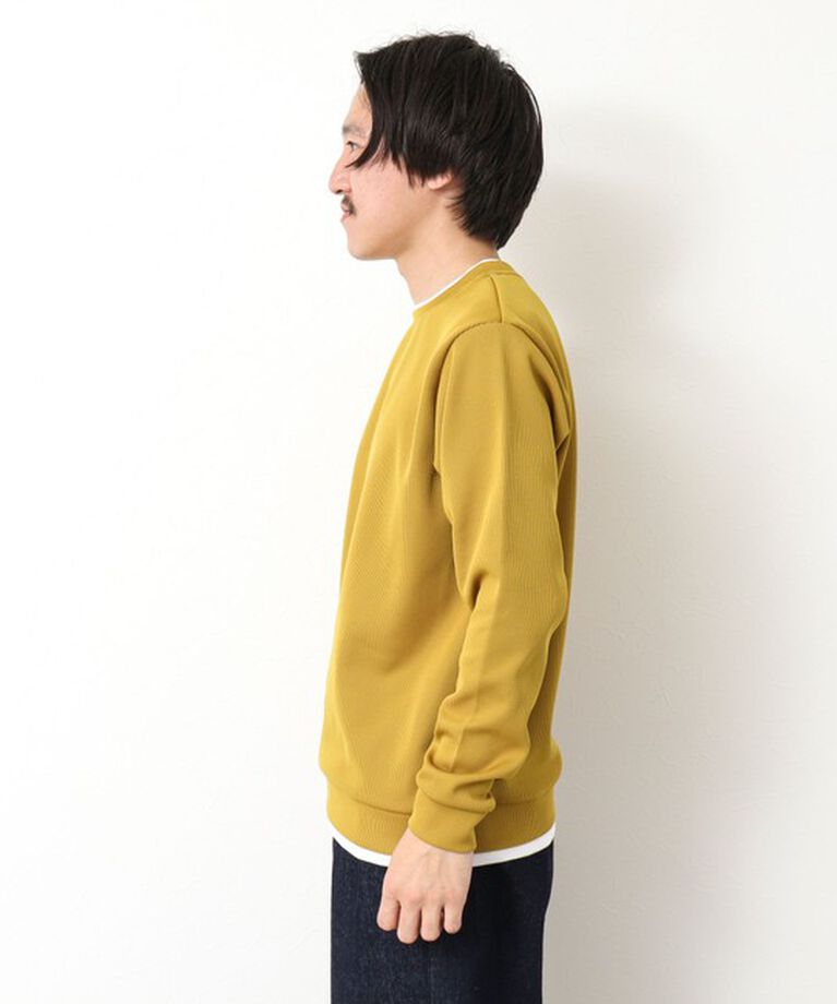 NOLLEY'S goodman「針ぬきジャージCN 25SS」|Tシャツ・カットソー|