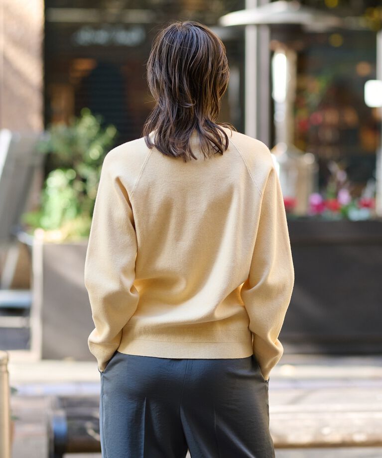 DRESSTERIOR「【洗える／春夏カラー】ウォッシャブル コットンカシミヤ混ニット」|ニット・セーター|