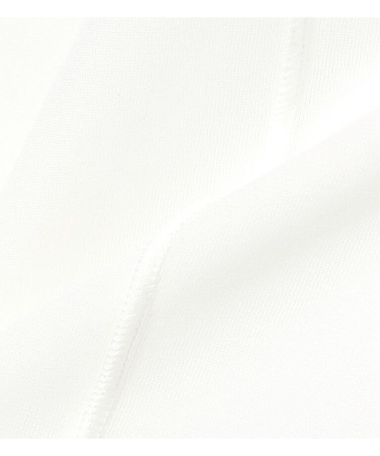 Ray BEAMS 「シアー センター シーム Tシャツ」|Tシャツ・カットソー|
