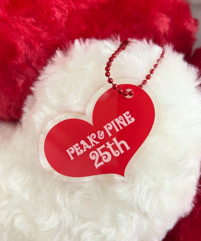 PEAK&PINE「PEAK＆PINE25周年記念リボン付きワイヤービキニ」|ビキニ|