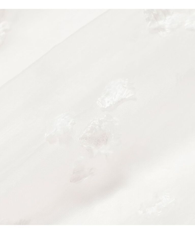 Demi-Luxe BEAMS 「シアーカット ジャガード ブラウス」|シャツ・ブラウス|