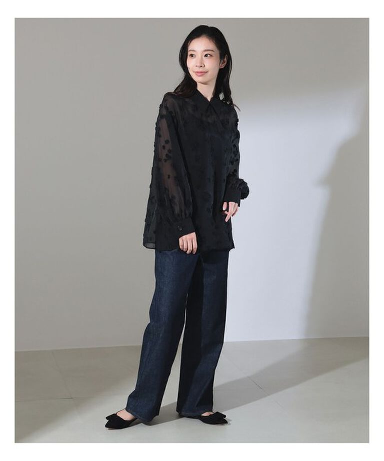 Demi-Luxe BEAMS 「シアーカット ジャガード ブラウス」|シャツ・ブラウス|