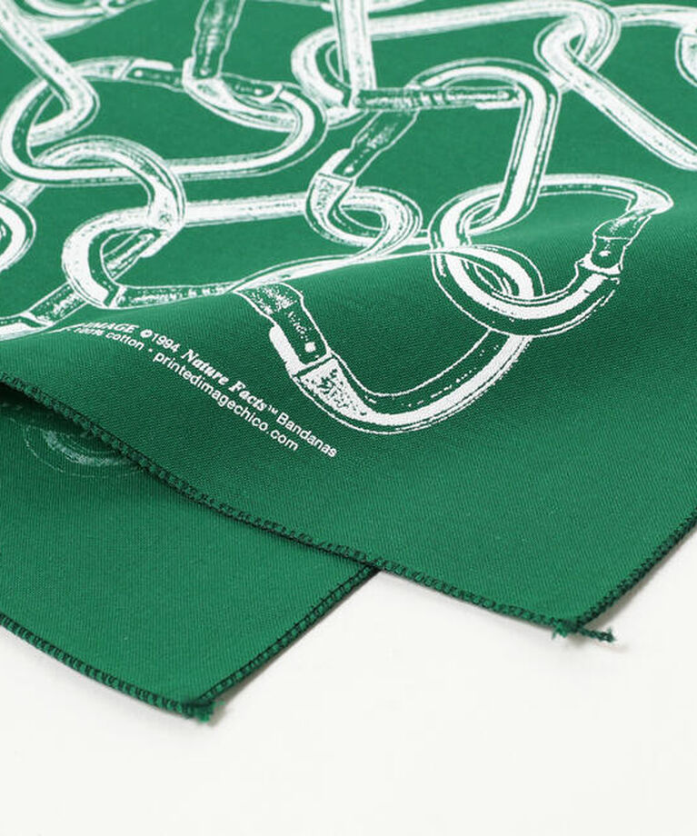 BEAMS「The Printed Image / BANDANA」|その他|