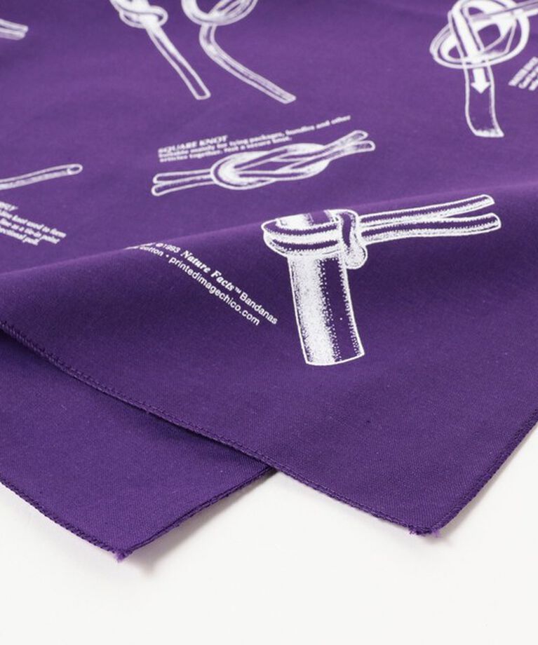 BEAMS「The Printed Image / BANDANA」|その他|
