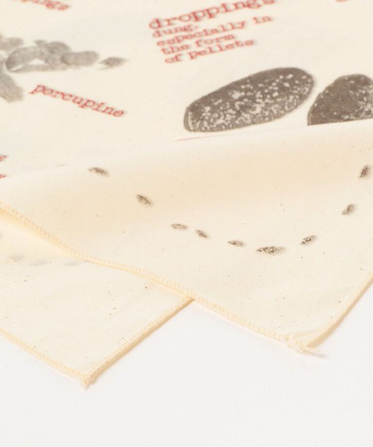 BEAMS「The Printed Image / BANDANA」|その他|