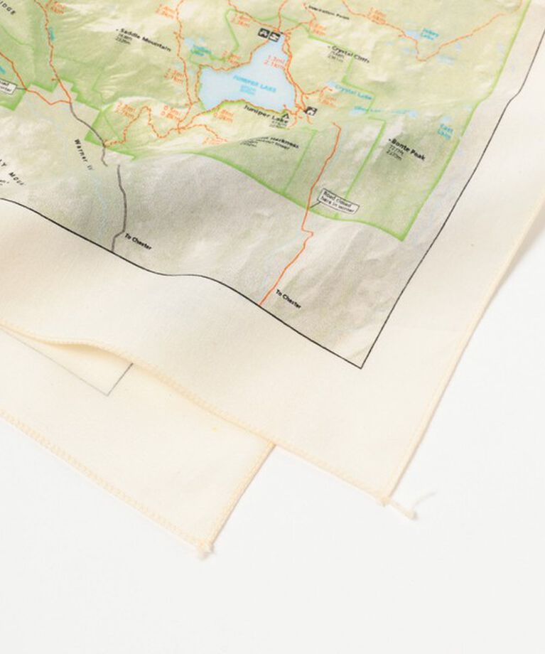 BEAMS「The Printed Image / BANDANA」|その他|