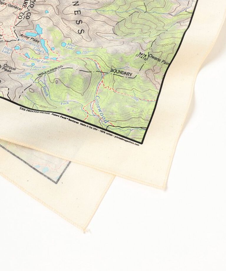 BEAMS「The Printed Image / BANDANA」|その他|