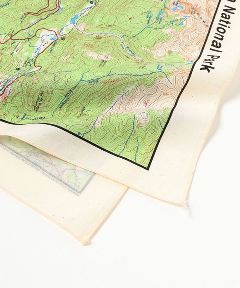 BEAMS「The Printed Image / BANDANA」|その他|