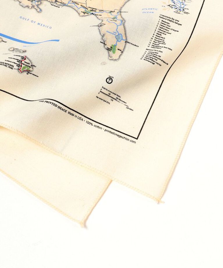 BEAMS「The Printed Image / BANDANA」|その他|