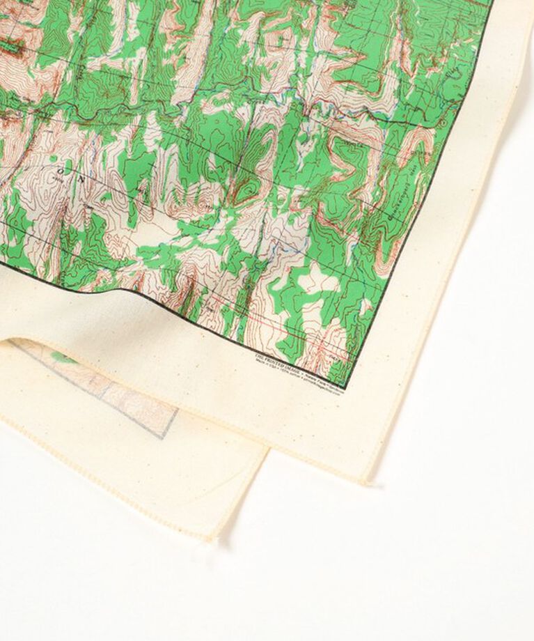 BEAMS「The Printed Image / BANDANA」|その他|