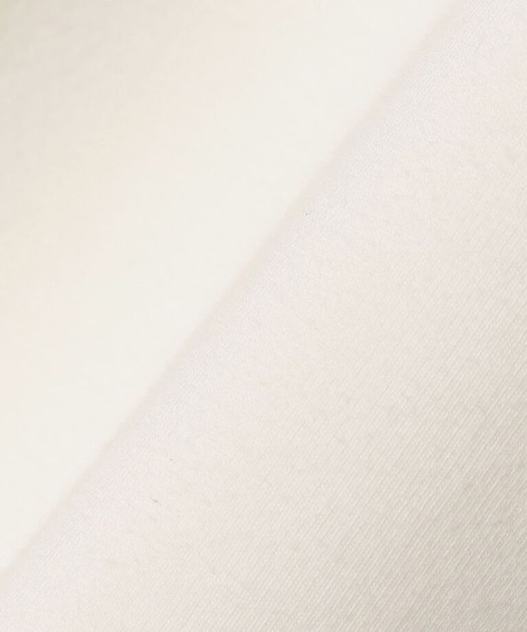 SHIPS any「SHIPS any:〈洗濯機可能〉インレイ ハーフスリーブ ショートTEE」|Tシャツ・カットソー|