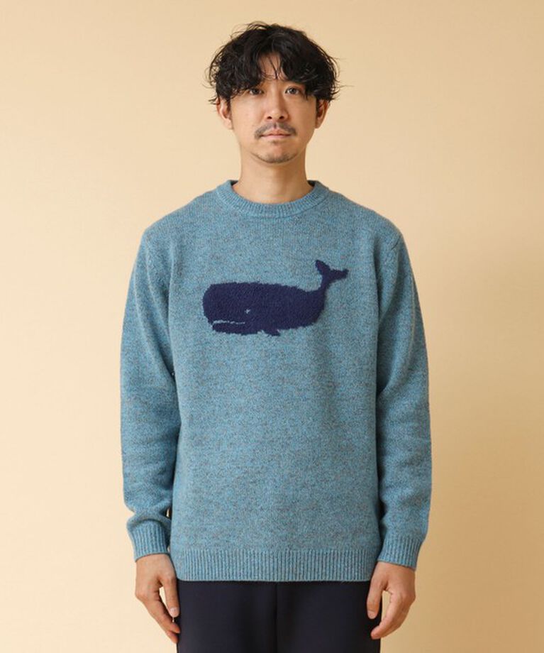 NOLLEY'S goodman「クジラインターシャ クルーネックニット 24AW」|ニット・セーター|