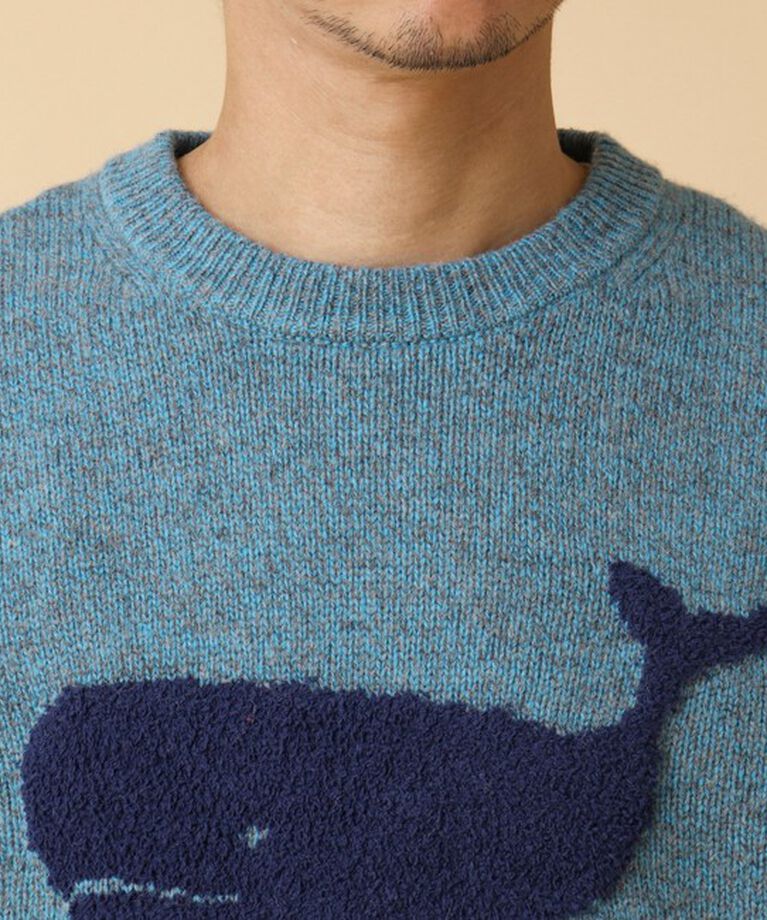 NOLLEY'S goodman「クジラインターシャ クルーネックニット 24AW」|ニット・セーター|